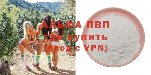 индика Алексин
