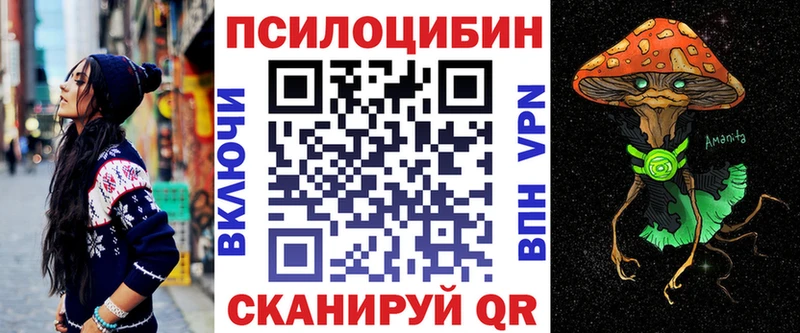 кракен   Новое Девяткино  Псилоцибиновые грибы Psilocybine cubensis 